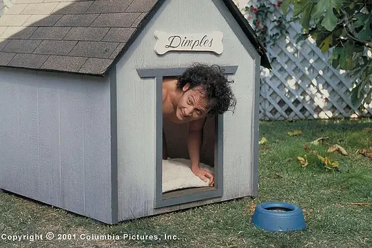 喜剧电影《人面兽心》解说文案/片源下载