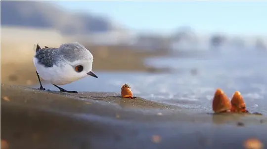 励志动画电影《鹬》解说文案/片源下载