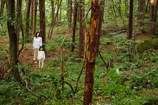 恐怖电影《苌山虎》电影解说文案/片源下载
