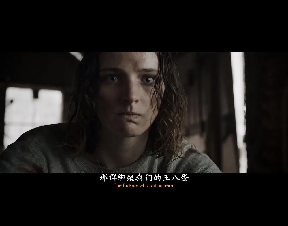 惊悚电影《复仇女神》解说文案/片源下载