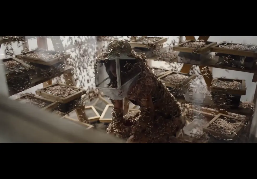 灾难电影《血色蝗灾》解说文案/片源下载