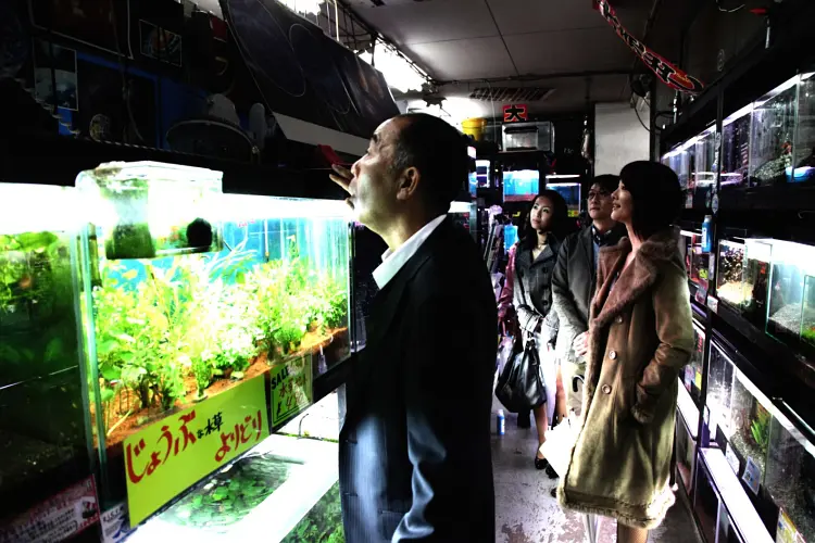 惊悚电影《冰冷热带鱼》解说文案/片源下载