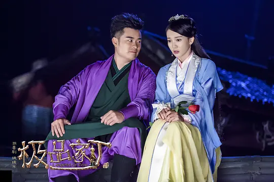 电视剧《极品家丁》31集电视剧解说文案/片源下载（完结）