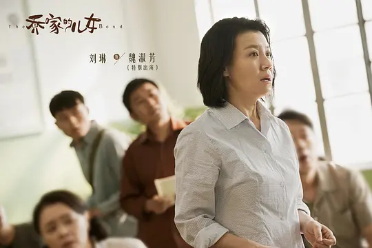 电视剧《乔家的儿女》解说文案/片源下载（完结）