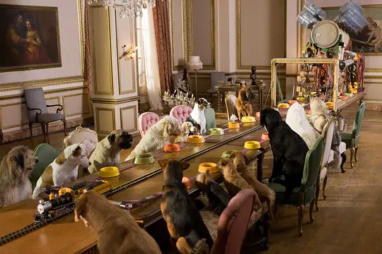 剧情电影《狗狗旅馆》解说文案/片源下载