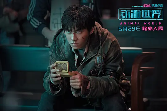悬疑电影《动物世界》解说文案/片源下载