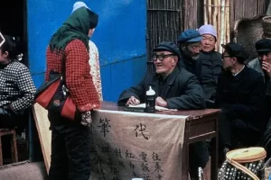 剧情电影《秋菊打官司》解说文案/片源下载