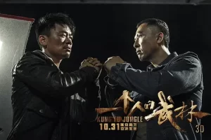 动作电影《一个人的武林》解说文案/片源下载