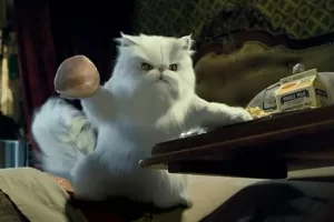 喜剧电影《猫狗大战》解说文案/片源下载