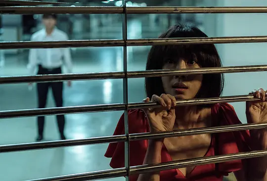 惊悚电影《监视》解说文案/片源下载