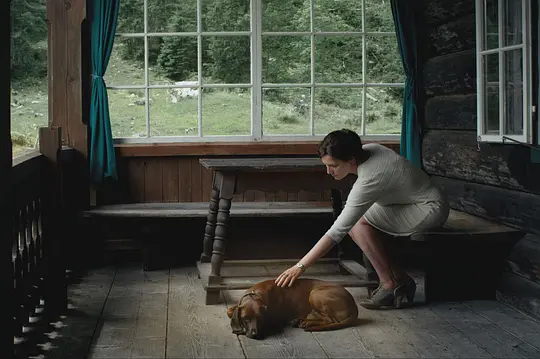 奇幻电影《隐墙》解说文案/片源下载