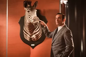 喜剧电影《OSS 117之非洲谍影》解说文案/片源下载