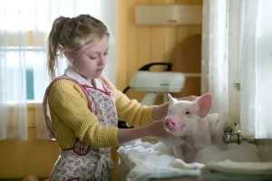 喜剧电影《夏洛特的网》解说文案/片源下载 喜剧电影《夏洛特的网》解说文案/片源下载