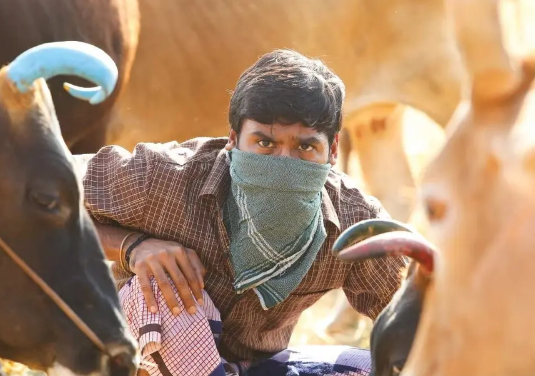 动作电影《剑客卡南》解说文案/片源下载