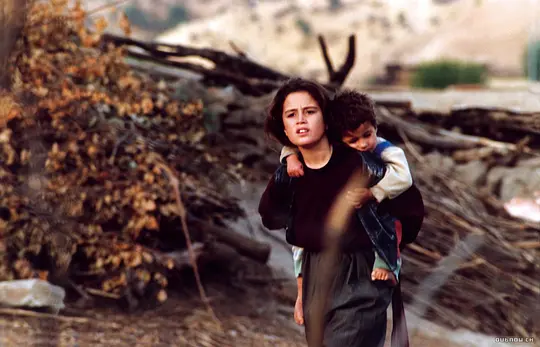 战争电影《乌龟也会飞》解说文案/片源下载