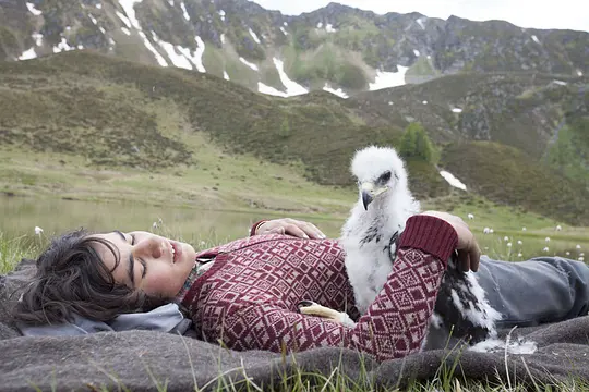 剧情电影《追鹰日记》解说文案/片源下载