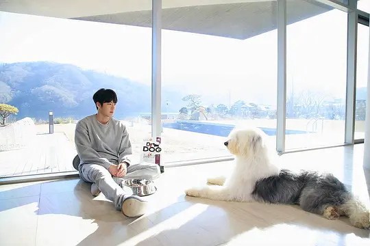 韩剧《任意依恋》20集电视剧解说文案/片源下载（完结）