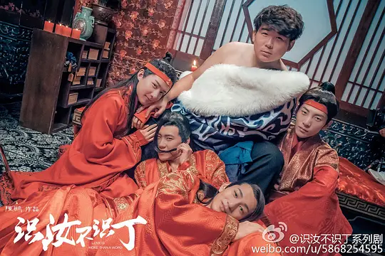 电视剧《识汝不识丁》12集电视剧解说文案/片源下载（完结）