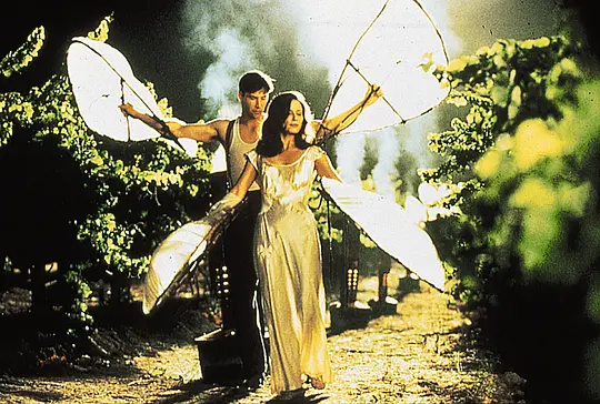 剧情电影《云中漫步》解说文案/片源下载