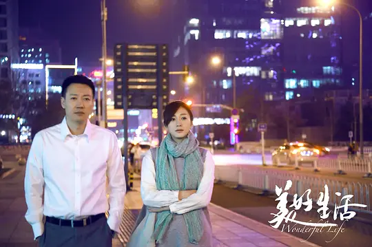 电视剧《美好生活》45集电视剧解说文案/片源下载（完结）