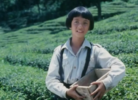 剧情电影《鲁冰花》解说文案/片源下载