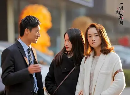 电视剧《一树桃花开》42集电视剧解说文案/片源下载（完结）