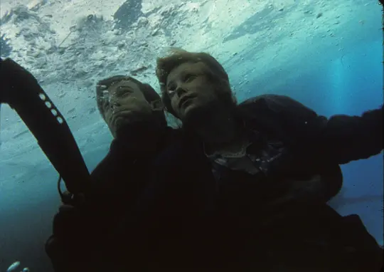 动作电影《驯鹿游戏》解说文案/片源下载