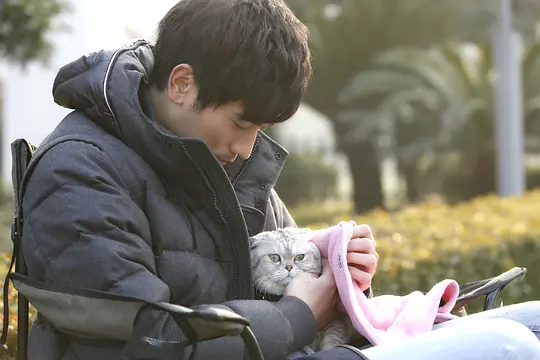 电视剧《遇见王沥川》38集电视剧解说文案/片源下载（完结）