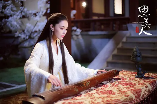 电视剧《思美人》72集电视剧解说文案/片源下载（完结）