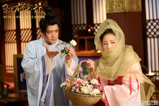 电视剧《寻找前世之旅》12集电视剧解说文案/片源下载（完结）