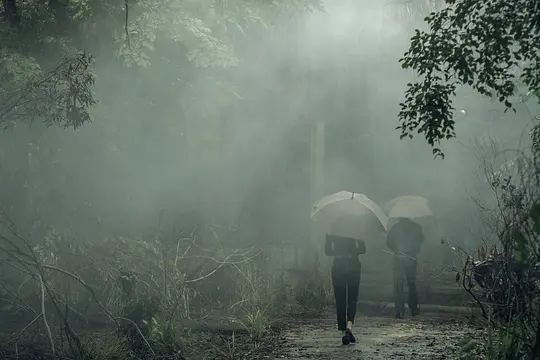 惊悚电影《凝弑》解说文案/片源下载