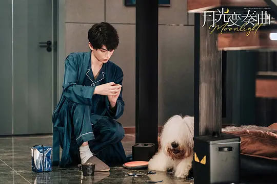 电视剧《月光变奏曲》36集电视剧解说文案/片源下载（完结）