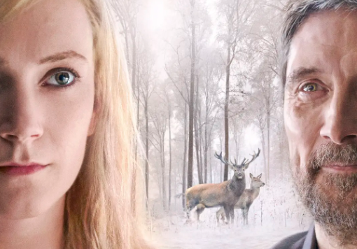 剧情电影《肉与灵》解说文案/片源下载