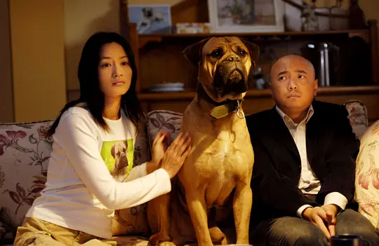 剧情电影《爱情呼叫转移》解说文案/片源下载