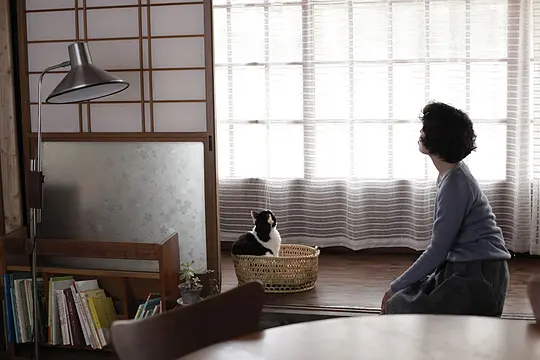 剧情电影《山中的汤姆先生》解说文案/片源下载