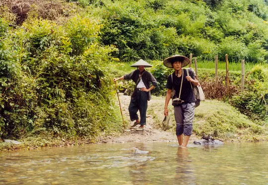 剧情电影《那人那山那狗》解说文案/片源下载