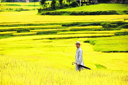 动作电影《武侠》解说文案/片源下载