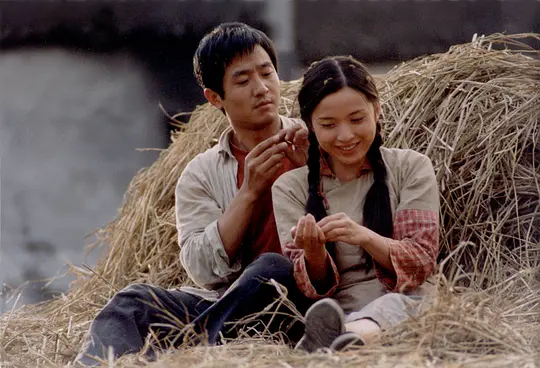 剧情电影《暖》解说文案/片源下载