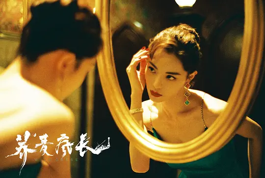 剧情电影《荞麦疯长》解说文案/片源下载