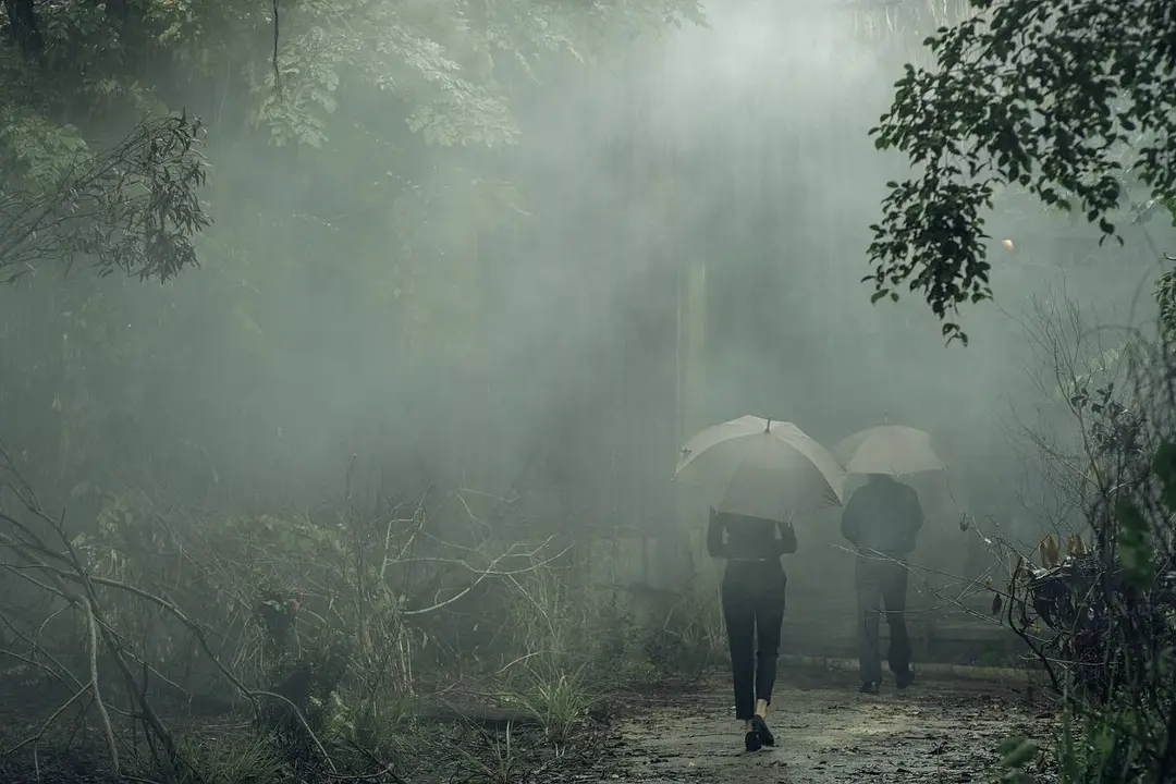 恐怖电影《凝弑》解说文案/片源下载