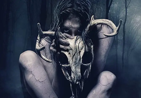 惊悚电影《森林恶鬼》解说文案/片源下载