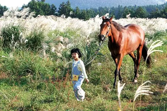剧情电影《方糖》解说文案/片源下载