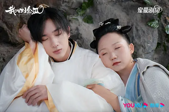 电视剧《我叫刘金凤》36集电视剧解说文案/片源下载（完结）