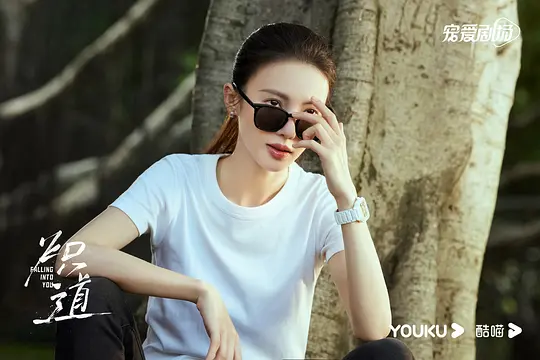 电视剧《炽道》26集电视剧解说文案/片源下载(完结)