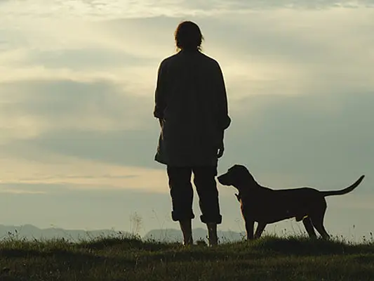 科幻电影《隐墙》解说文案/片源下载