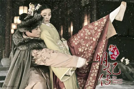 电视剧《女医·明妃传》50集电视剧解说文案/片源下载