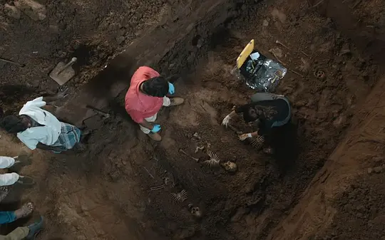 悬疑电影《法医追凶》解说文案/片源下载