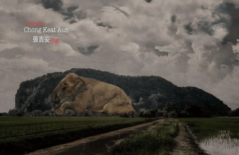 奇幻电影《南巫》解说文案/片源下载