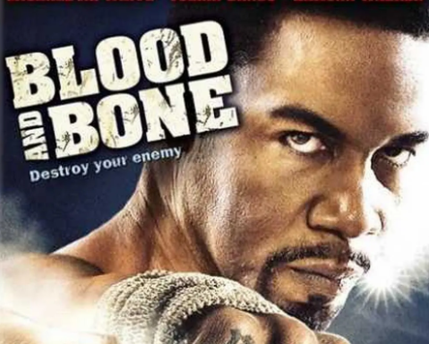 动作电影《血与骨》解说文案/片源下载