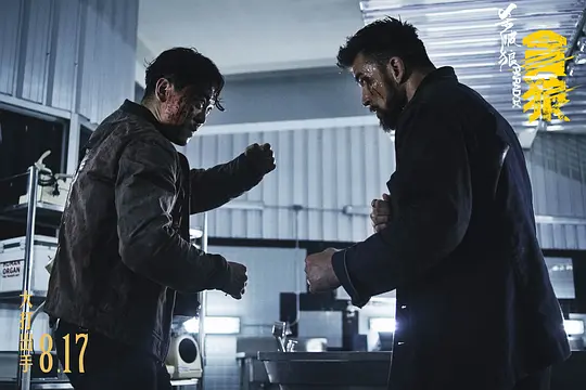 动作电影《杀破狼·贪狼》解说文案/片源下载